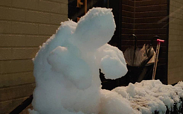 せっかくの雪だったので