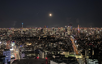 スカイツリーと東京タワーの間