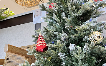 東越谷美容室 エストにもクリスマスツリー♪