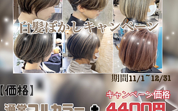 只今キャンペーン中!白髪ぼかし/ハイライト